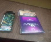 I tried cigarettes that are currently popular in Indonesia, Camel Option Purple from wabcam indonesia