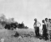 US soldiers looking at a dead German pilot and his wrecked plane near Gela, Sicily, July 12, 1943. US Army Signal Corps from 九游会娱乐平台j9▒网址k260 cc▒▀➟▶️ gela