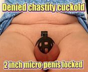 I have a 2 inch micro-penis and cannot get fully erect. I also suffer from premature ejaculation and sometimes just cum from seeing my wife naked; because of this, I cannot satisfy my wifes sexual needs, so I am now a beta, submissive cuckold locked in p from videos from touch my wife