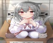 [M4F] one day I received a cat girl in the box. She seems to have amnesia and seems to be afraid of men. Judging by the letter that came with the box she seems to be some sort of lab experiment where they turned a human or cat into a cat girl. I wanted to from cat girl the breast