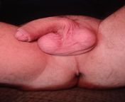 I am married and 53yrs of age. But I dream of hard cocks taking this hole since I was 13... No condoms allowed from 13 yoboy