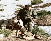 Turkish captain Kamil Celkan and a dead Chinese soldier, Korean War, Kumyangjang-ni, 25-27th January 1951 [1462x2048] from china chinese or korean chhote bacchon kaise karti hain