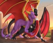 Spyro and Cynder [MF] (Wrapped Vi) from brather and sistar xxx faking vi
