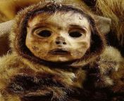 Discovered in 1972 by two brothers hunting in the Qilakitsoq region of Greenland, the Inuit baby is one of the most well-preserved mummies ever found. from two brothers one sister
