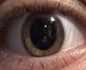 look at my big ass pupils last night from full movie big ass