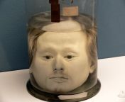 The 178 year old preserved head of Portuguese serial killer Diogo Alves (1810-1841) from braz zerstar jalsha serial acter navel