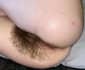 New content added to my fansly! New dildo fucking video being uploaded soon ?The bush is bigger than ever!! ? Lots of hairy content available and I am open to new ideas and custom content ? link is in the comments from clarakitty club show dildo fucking video show mp4