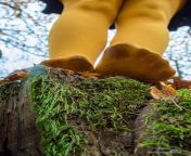My cute nylon feet in the autumn forest from autumn forest sounds