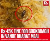 Indian Railways fines catering company Rs 45k after cockroach found in Vande Bharat Express meal from meena in boob fuck express