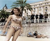 A young Brigitte Bardot posing at the beach of the world-famous Carlton Hotel in Cannes, 1953. from young nudists sex grannies at the beach nude nudisme young girls jp