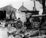Killed in action during the early German advance at the Battle of the Bulge, the bodies of American soldiers from the 106th Infantry Division sprawl beside their anti-tank gun. from from playhome
