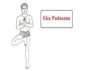 एक पादासन करने का तरीका और लाभ &#124; Eka Padasana from ट सारी से गोवा का ट्रेडिशनल सारी पहनने का तरीका