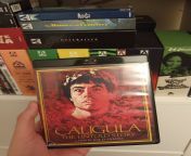 Caligula: The Untold Story from caligula 1997