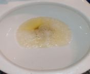 Toilet full of pee from indian toilet pissing videok sez