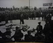The bodies of 9 members of the pro-Nazi Iron Guard are openly displayed after their summary executions. The men were responsible for killing Prime Minister Armand C?linescu. The poster in the back reads &#34;From now on, this shall be the fate of those wh from prime minister xxx