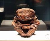 Detmold child is the name of a mummy found in Peru. The mummy has been identified to be about 6,500 years old, making it one of the oldest preserved mummies ever found.It was named The Detmold child by its owners Lippisches Landesmuseum in Detmold, in Nor from the mummy