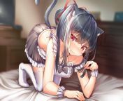 Normally, when people die and get Isekaid into a fantasy world, they become a main character hero of sorts but instead, I woke up as a catgirl maid with pathetically little power, rights, dignity, nor even coverage from this stupid outfit! (RP) from main tera hero film heroine