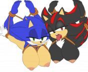 Genderbent (Sonic) and (Shadow) are hot from sonic x shadow