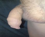 Uncut flaccid cock, very insecure about the length of my foreskin. from shemale uncut foreskin cock compilation