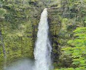 Akaka Falls, Big Island, Hawaii [3024X4032] from tamil akaka thambi