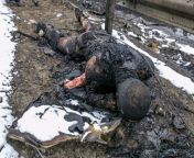 GRAPHIC a Russian burnt to a CRISP by an explosion, lies dead on the freezing ground in Bucha Wednesday. from indian aunty combhishek bucha