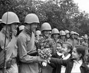 Desafio 50/50: Criana dando flores para soldados primeira guerra mundial ou Pilha de corpos de judeus. from soldados dos exercito estup
