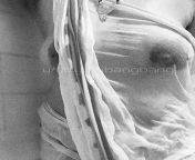 A wet saree for your wet dreams from tamil actrsss subhasri wet saree without bra