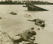 OURS, 9/13/1943. NEW GUINEAJapanese, hiding in a barge with rifles and grenades, took the lives of these three American fighters who were mapping up on the last day of the Buna Gona battle in New Guinea, last January. from faith narokobi guinea