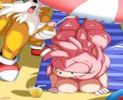 Tails and Amy at the beach!!! (Morris) from tails x amy assjob