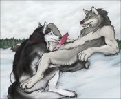 Furry porn image from ben porn image