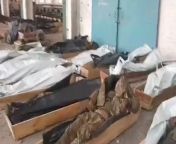 RU POV.Fighters of the Wagner PMC continue to send home dead AFU fighters. Hundreds of bodies are placed in coffins which will then be delivered to the Ukrainian side. Those are the bodies just from Soledar. The process is taking weeks now, and it&#39;s n from which pic you last jerked to general talk page 233