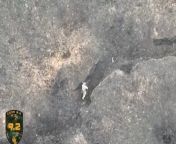 Russian soldier commits suicide after being hit by drone dropped grenade from purenudism russian y