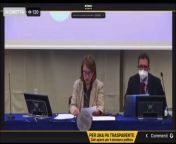 Someone streams Final Fantasy porn in Italys senate conference from islamic fantasy porn