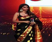 Shriya Sharan - The Legendary Pallu Drop from actress shriya sharan hot tamil songs with