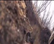 The video was shot by the Russian side. A Ukrainian artillery shell hits a Russian soldier&#39;s trench. from 11xus4i