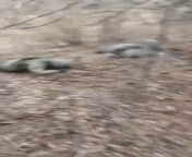 A video taken by the 77th Separate Airmobile Brigade following last week&#39;s fierce battle in the Bakhmut direction. from video taken by hacked camera in vietnam