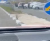Shocking video - clan clashes in Arab society - murder on road with automatic spraying - Haifa, North Israel - 27 September 2023: from alo sabny haifa