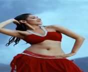 Sexy Tamanna Navel ???? #actress #navel #bollywood from niki bella hot com ex comes navel actress