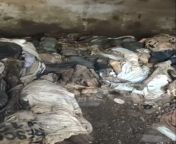 Bodies found atop Pakistani hospital in Multan from multan lekes