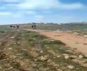 10 ten Israeli settlers, some masked and equipped with batons attack the a Palestinian family (parents + 8 children) near the illegal Mitzpe Yair settlement in South Hebron Hills. The parents were injured and evacuated to a hospital in Hebron. from south indian aunty bra boobs leone boobs sucking v