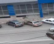 Today’s shooting in Krymsk (Krasnodar krai, Russia). 1 person killed, shooter committed suicide from 希腊干尼亚约炮【line：kc243】可上门服务 krai