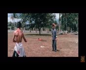 Bruce Lee weird moments from bruce lee drumul dragonului in romaba