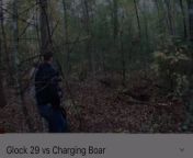 cqb inawoods G29 (10mm) vs Boar...? on for the lulz from boar
