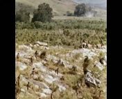 ?ki ilkel kabilenin sava??. 1963 Papua Yeni Gine - Endonezya s?n?r? from sunny leone fug videox 15 sal ki student ki v