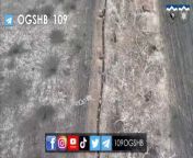 Ukrainian drone eliminates Russian soldiers in trenches with grenades, including one Russian who gets decapitated from russian tourist gets