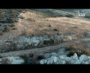 Combat footage from HTS&#39; new Kabani video. Edited out the propaganda/gore. from kabani serial actresses