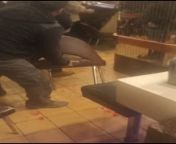 Maltrato animal en Valdivia, caf Palace es atacado en represalia from ruggeri valdivia