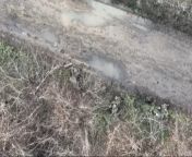 More drone shots of ZSU dropping explosives on Wagner members. Slava ZSU, Slava Ukraini from icdn ukraini