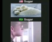 sugar from moga sugar