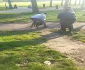 Video footage of two American XL Bullies breaking free of owner to attack Border Collie puppy, requiring £6,500 of treatment. Owner swears at and abuses owner of attacked dog for not having dog on leash (despite it being a designated &#39;off-leash&#39; a from his owner son sex her